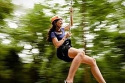 Hotels near Carnival cruise ports include options like the Hilton Long Beach and Residence Inn Long Beach Downtown near the Port of Long Beach; the Comfort Suites Downtown Brickell-Port of Miami and YVE Hotel Miami near the Port of Miami; and Country Inn & Suites, Port Canaveral, FL and Hampton Inn & Suites Cape Canaveral Cruise Port near Port Canaveral. Many hotels offer convenient amenities like shuttle services to the cruise terminals.