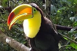 Port of Long Beach Hotels