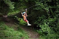 Hotels Near Miami Cruise Port