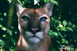 Hotels Near Port Canaveral