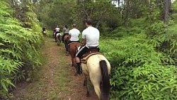 Hotels Near Port Canaveral