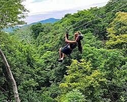 Hotels Near Port Canaveral