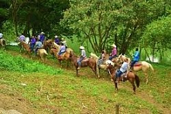 Hotels Near Port Canaveral