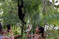 Hotels Near Port Canaveral