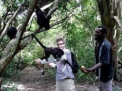 Hotels Near Port Canaveral