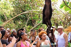 Hotels Near Port Canaveral