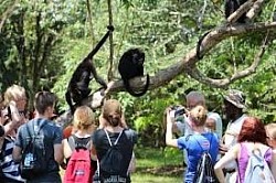 Hotels Near Port Canaveral