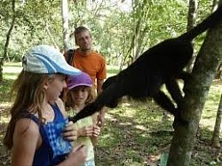 Hotels Near Port Canaveral