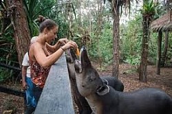 Miami International Airport