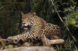 Miami International Airport