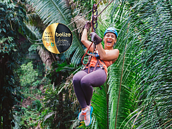 Hotels Near Miami Cruise Port