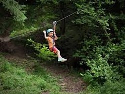 Hotels Near Miami Cruise Port