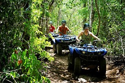 Hilton Garden Inn Miami Airport