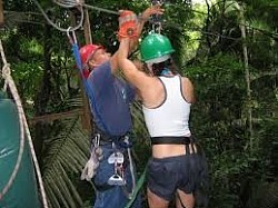 Hotels Near Carnival Cruise Port Miami