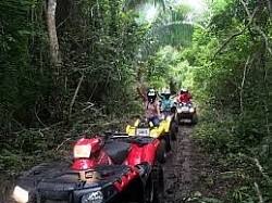 Hotels Near Carnival Cruise Port Miami