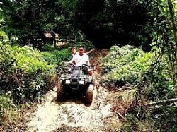 Hotels Near Carnival Cruise Port Miami